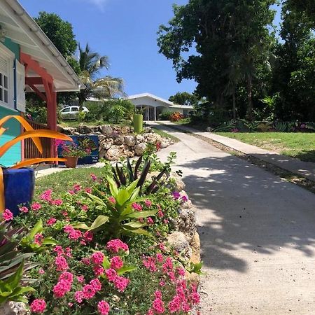 Jardin Des Anges-Bungalows Creoles Et Studio Le Moule Luaran gambar