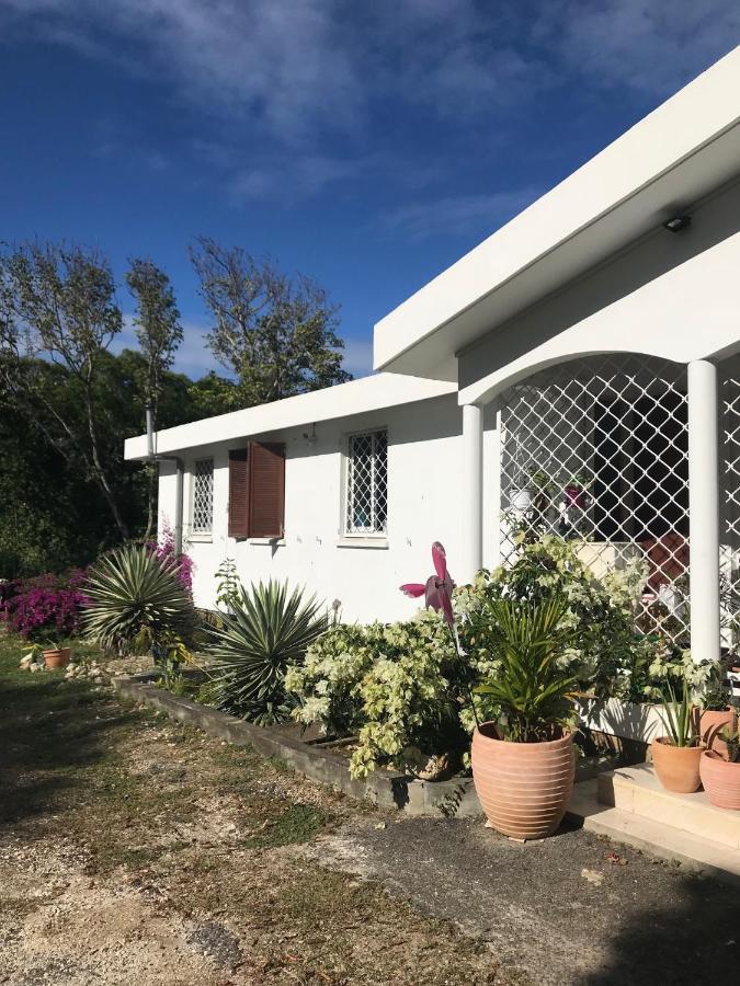 Jardin Des Anges-Bungalows Creoles Et Studio Le Moule Luaran gambar