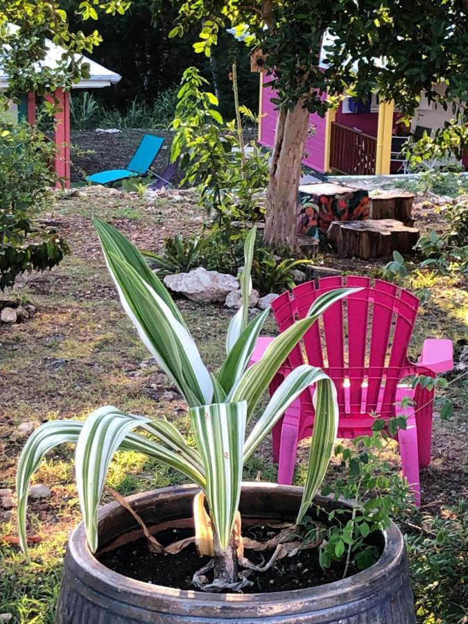 Jardin Des Anges-Bungalows Creoles Et Studio Le Moule Luaran gambar