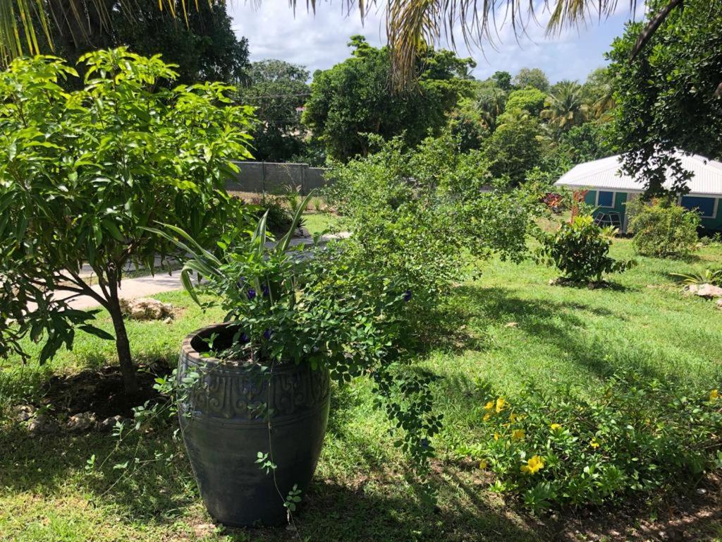 Jardin Des Anges-Bungalows Creoles Et Studio Le Moule Luaran gambar