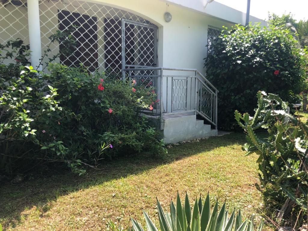 Jardin Des Anges-Bungalows Creoles Et Studio Le Moule Luaran gambar