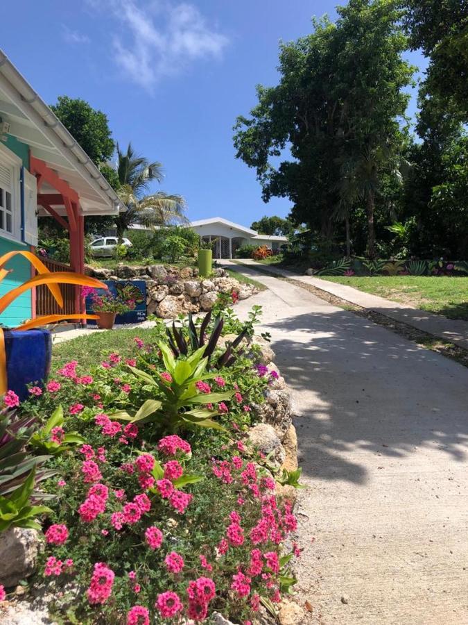 Jardin Des Anges-Bungalows Creoles Et Studio Le Moule Luaran gambar