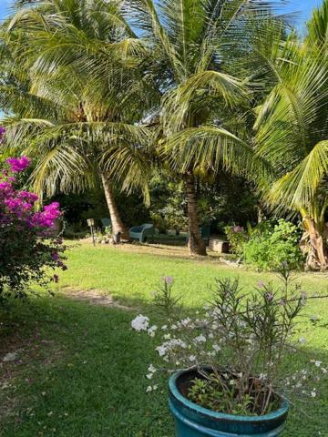 Jardin Des Anges-Bungalows Creoles Et Studio Le Moule Luaran gambar