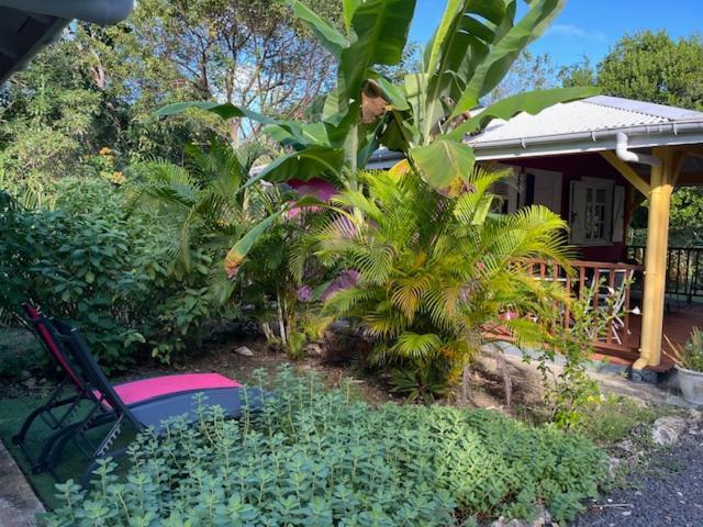 Jardin Des Anges-Bungalows Creoles Et Studio Le Moule Luaran gambar